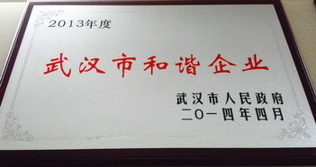 武漢知名品牌優秀律師事務所 專業法律咨詢與委托代理服務